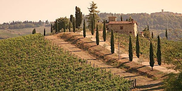 Under the Tuscan Sun: The Wines of Tuscany | JAK's Beer Wine Spirits