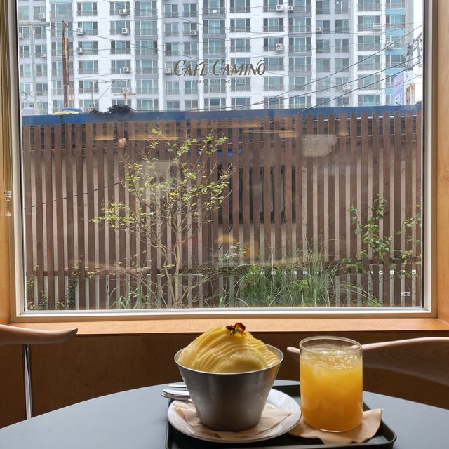 [서면포토존카페] 카페까미노