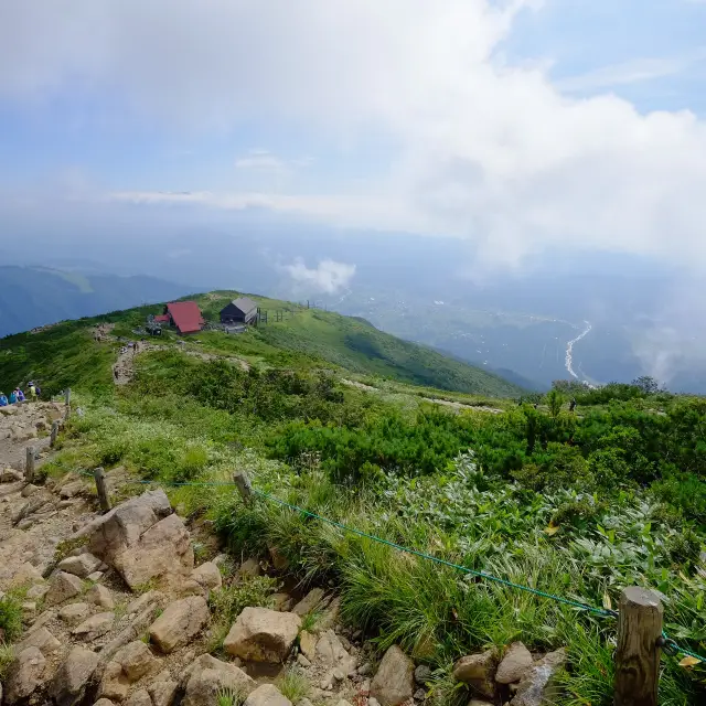 夏の八方尾根