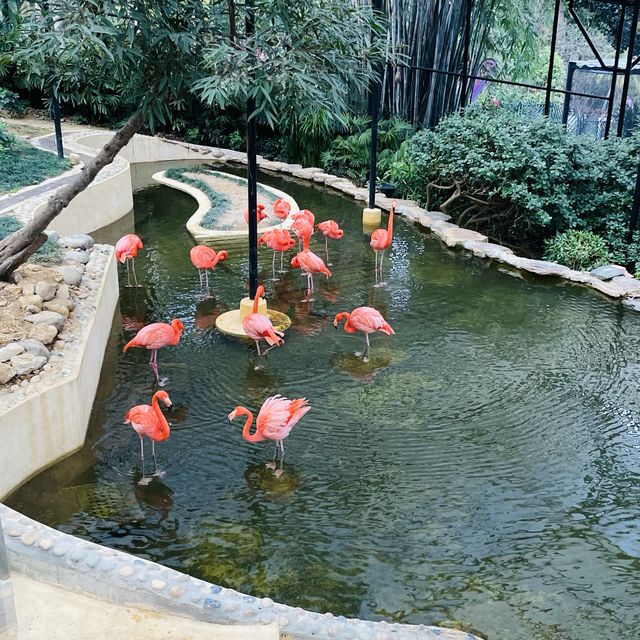 香港動植物公園150週年活動