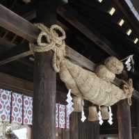 北海道神宮❤️冬日浪漫🌹神社⛩️