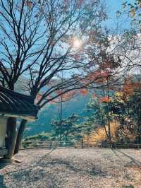 단풍과 산 전망이 아름다운, 밀양 "서당골캠핑장"