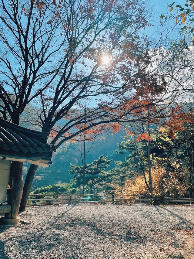 단풍과 산 전망이 아름다운, 밀양 "서당골캠핑장"