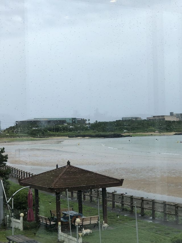 [제주 서귀포시] 성산 오션뷰 카페 추천
