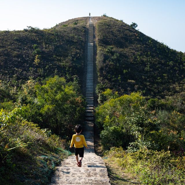 美不勝收的昂坪棧道