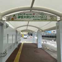 【東京・伊豆大島】岡田港