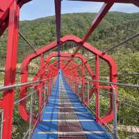 산청한방테마파크 동의보감촌에서 출렁다리 체험하기!