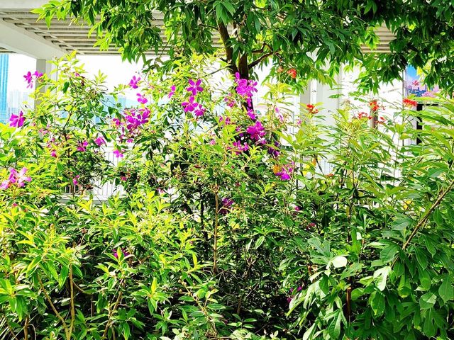 北角海濱公園