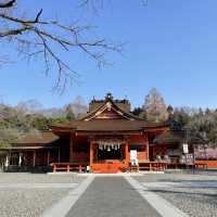 【静岡県】富士山をバックに富士山本宮浅間大社を参拝⛩