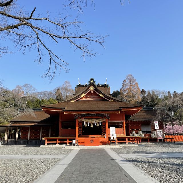 【静岡県】富士山をバックに富士山本宮浅間大社を参拝⛩