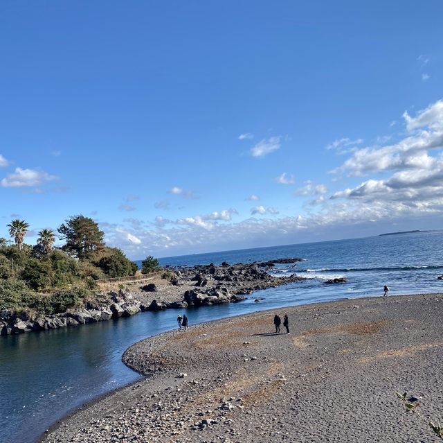 하천과 바다가 만나는 신비로운 쇠소깍🌊✨