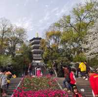The iconic pagoda on West Lake