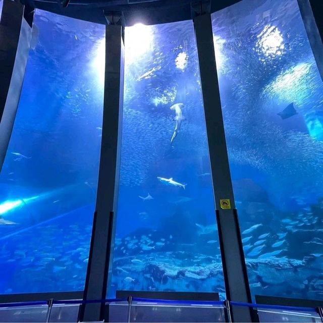 【横浜・八景島シーパラダイス】神奈川県横浜市