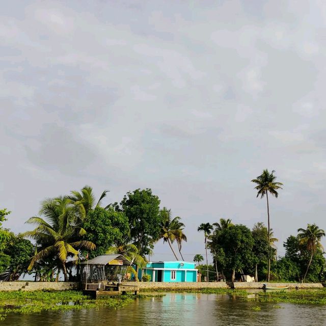 Live slow life on a boat house in Allepey 