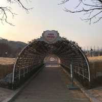 🇰🇷 Everland Seoul
