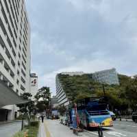 【福岡】オープントップバスで市内観光
