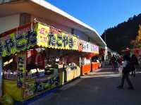 香嵐溪紅葉｜名古屋附近賞楓景點