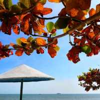 Dadonghai, a beach for day and night