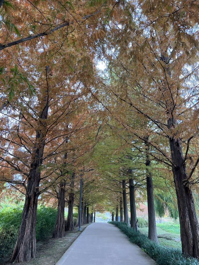 하남 스타필드 근처 가볼만한곳❣️
