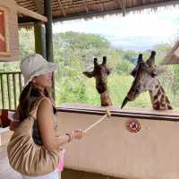Safari World in Bangkok 🦒🐅🦓