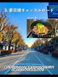 【滋賀】行ってよかった滋賀旅行！彦根おすすめ7選