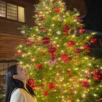 크리스마스 분위기의 삼청동 카페 🎄⠀