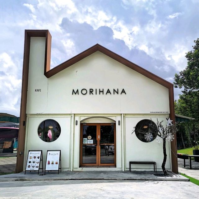 Teatime at Morihana Pastry! ☕🥞