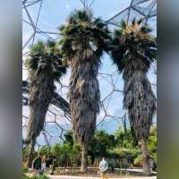 化腐朽為神奇～Eden Project @Cornwall