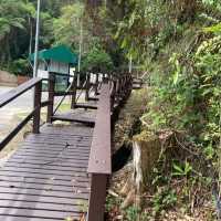 キャメロンハイランドの中心部から気軽に行けるハイキングコース　Taman Eko Rimba Parit Falls H