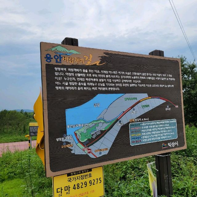 자전거타기 딱 좋은 길 [익산]