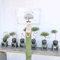 Bonsai Cafe