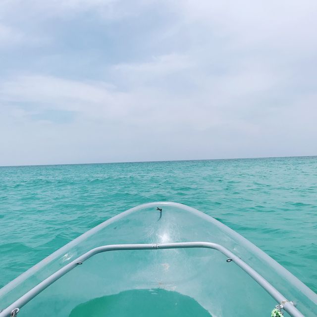 [ 제주 뚜벅이 추천 ] 투명 카약 
