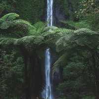 TANCAK WATERFALL : JEMBER