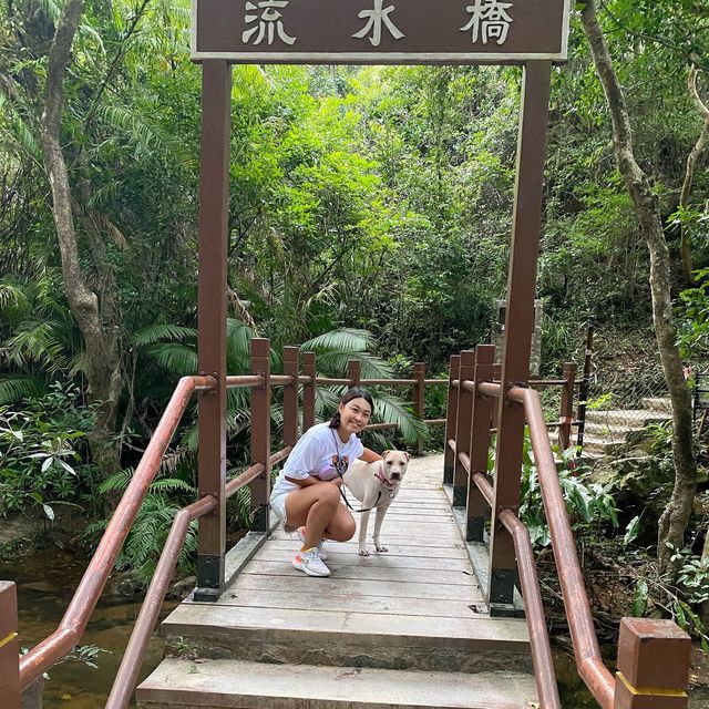 粉嶺流水響
