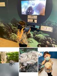 西貢最新打卡景點，海下灣超美日式庭園海岸展館！