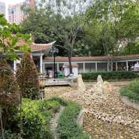 大角咀中式公園賞花｜漸變色橙黃花、烏龜、中式涼亭