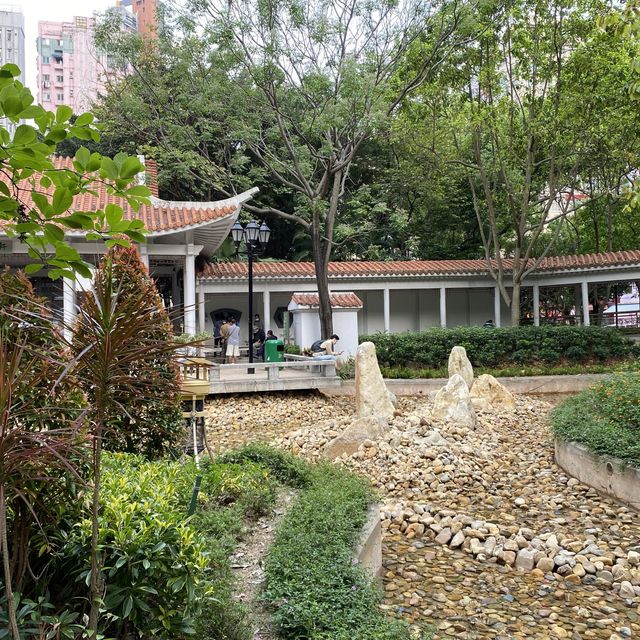 大角咀中式公園賞花｜漸變色橙黃花、烏龜、中式涼亭