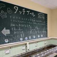 【高知】元小学校🏫むろと廃校水族館