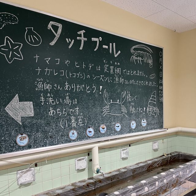 【高知】元小学校🏫むろと廃校水族館