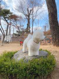 잠실에서 차로 15분! 하남 애견운동장 펖파크🐶