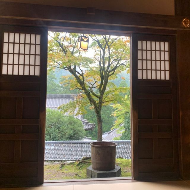 福井県にある永平寺にやってきた！