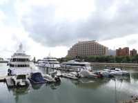 黃金海岸酒店無敵海景