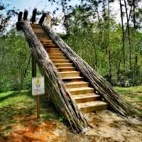 Greenary day out @ Bamboo Garden