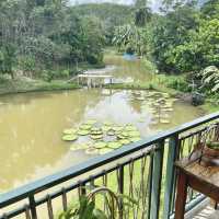 Baan Suan Gong บ้านสวนก๋ง