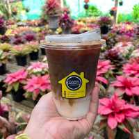 OASIS Handmade Cafe‘