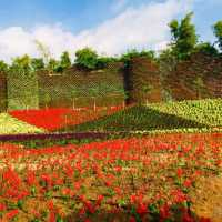 Flower Valley Tay Ho