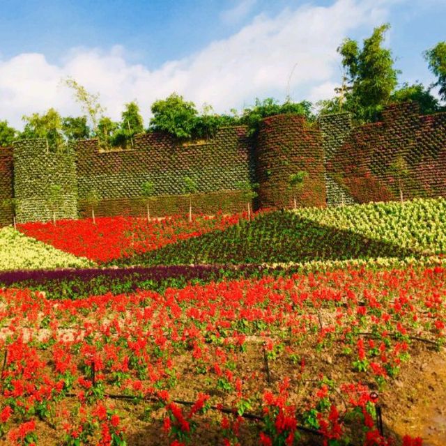 Flower Valley Tay Ho