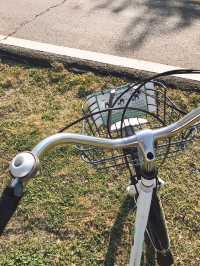 따릉이 타고 한강 라이딩 어때요🚲