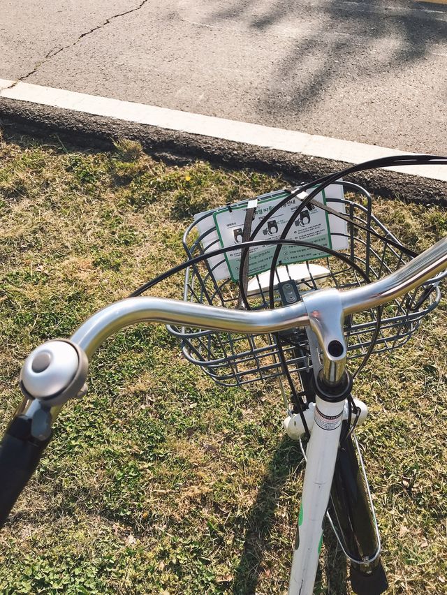 따릉이 타고 한강 라이딩 어때요🚲