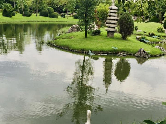 เดินเล่น@สวนหลวง ร.9
